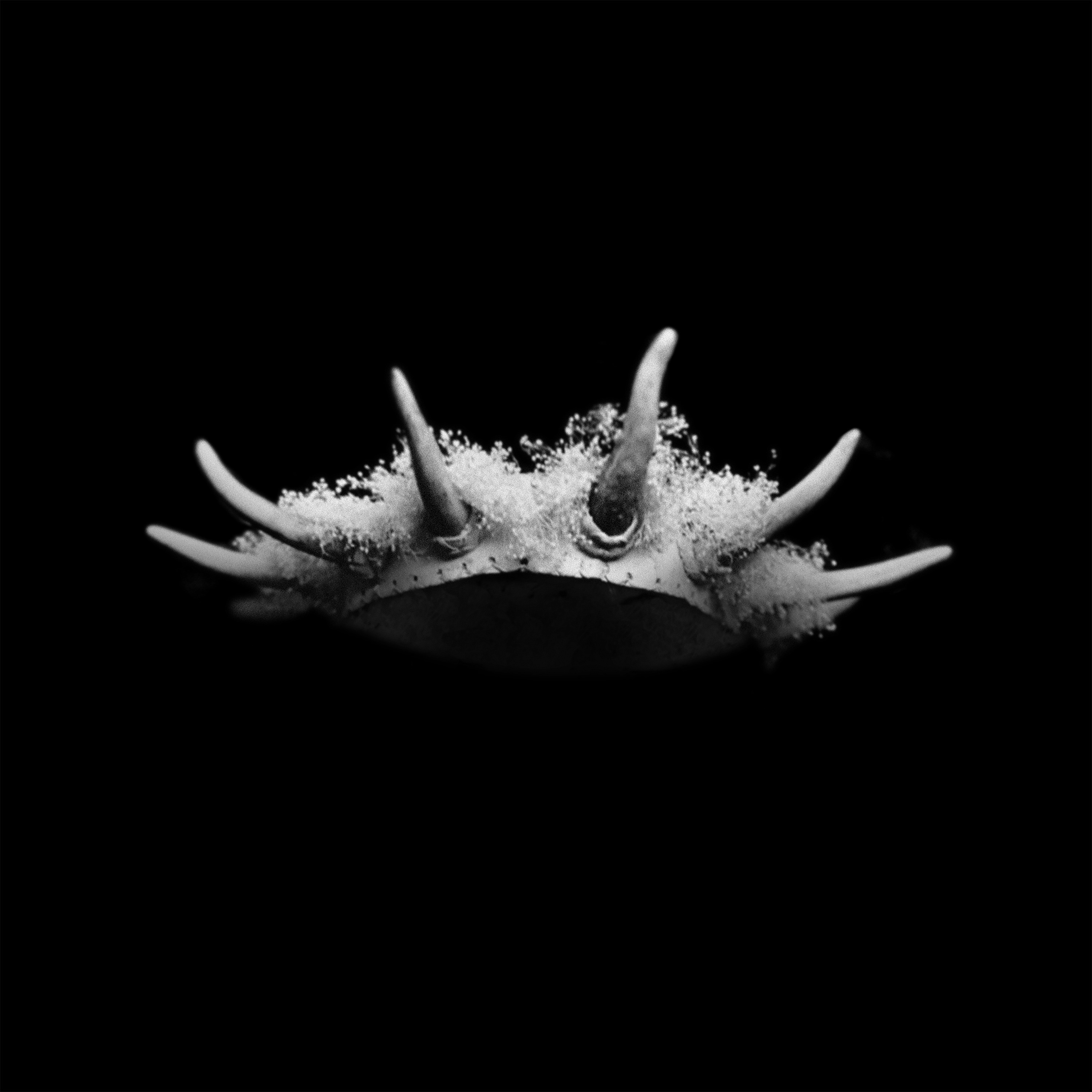 FEEL NOTHING - Single (RESET) album cover
