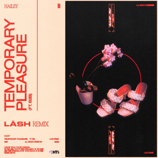 Temporary Pleasure (Lash Remix) [feat. Back 2 Basics] - Single album cover
