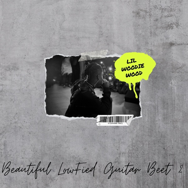 Beautiful LowFied Guitar Beet 2 (feat. Yanni) - Single album cover