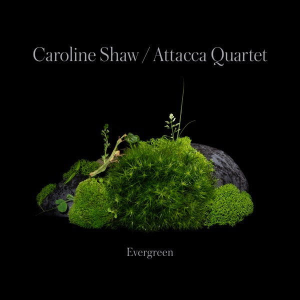 Caroline Shaw: Evergreen album cover