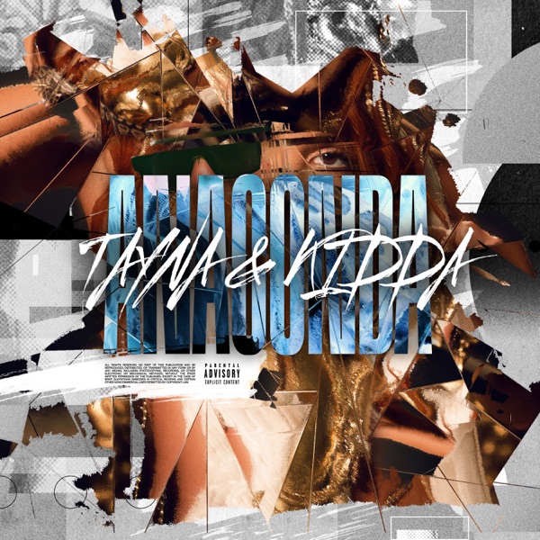 Anaconda - Single album cover
