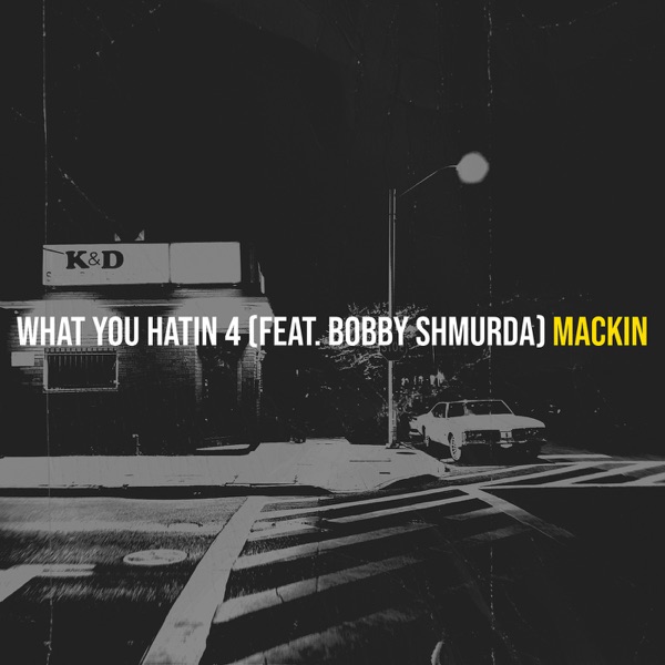 What You Hatin 4 (feat. Bobby Shmurda) - Single album cover