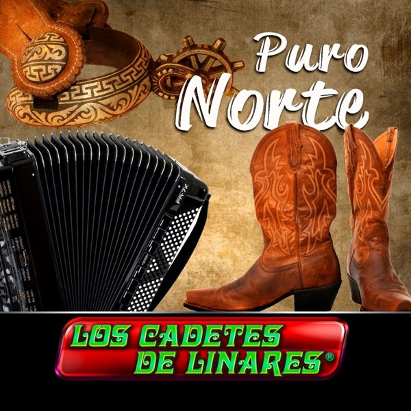 Puro Norte album cover