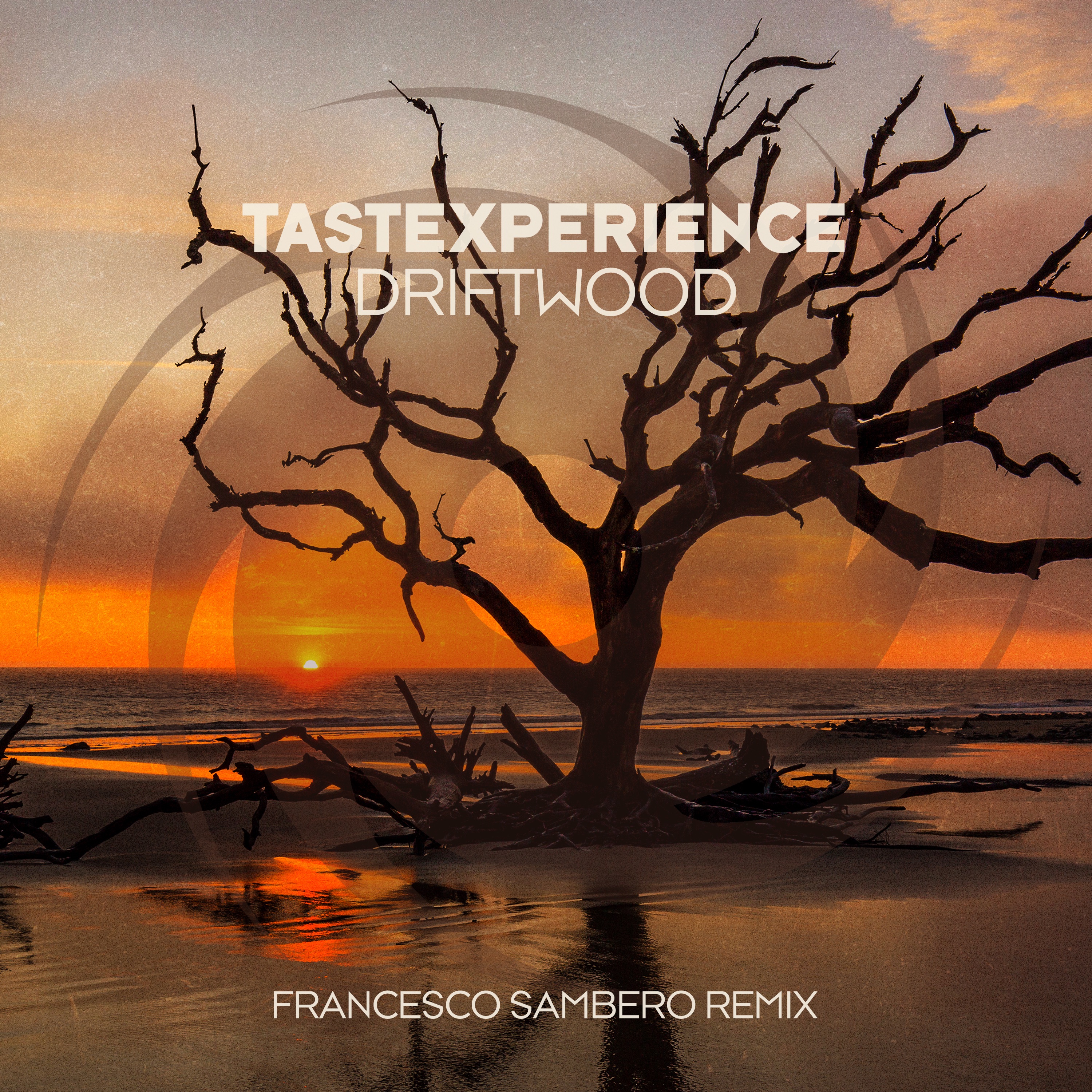 Driftwood (Francesco Sambero Remix) - Single album cover