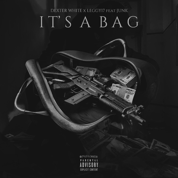 It's a Bag (feat. Junk) - Single album cover