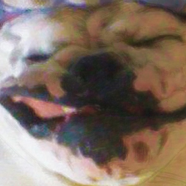 Losing (feat. Phil Keaggy) - Single album cover