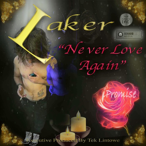 Never Love Again (feat. Laker) - Single album cover