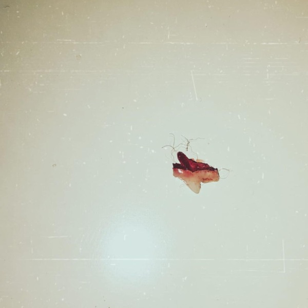 URLA - Single album cover