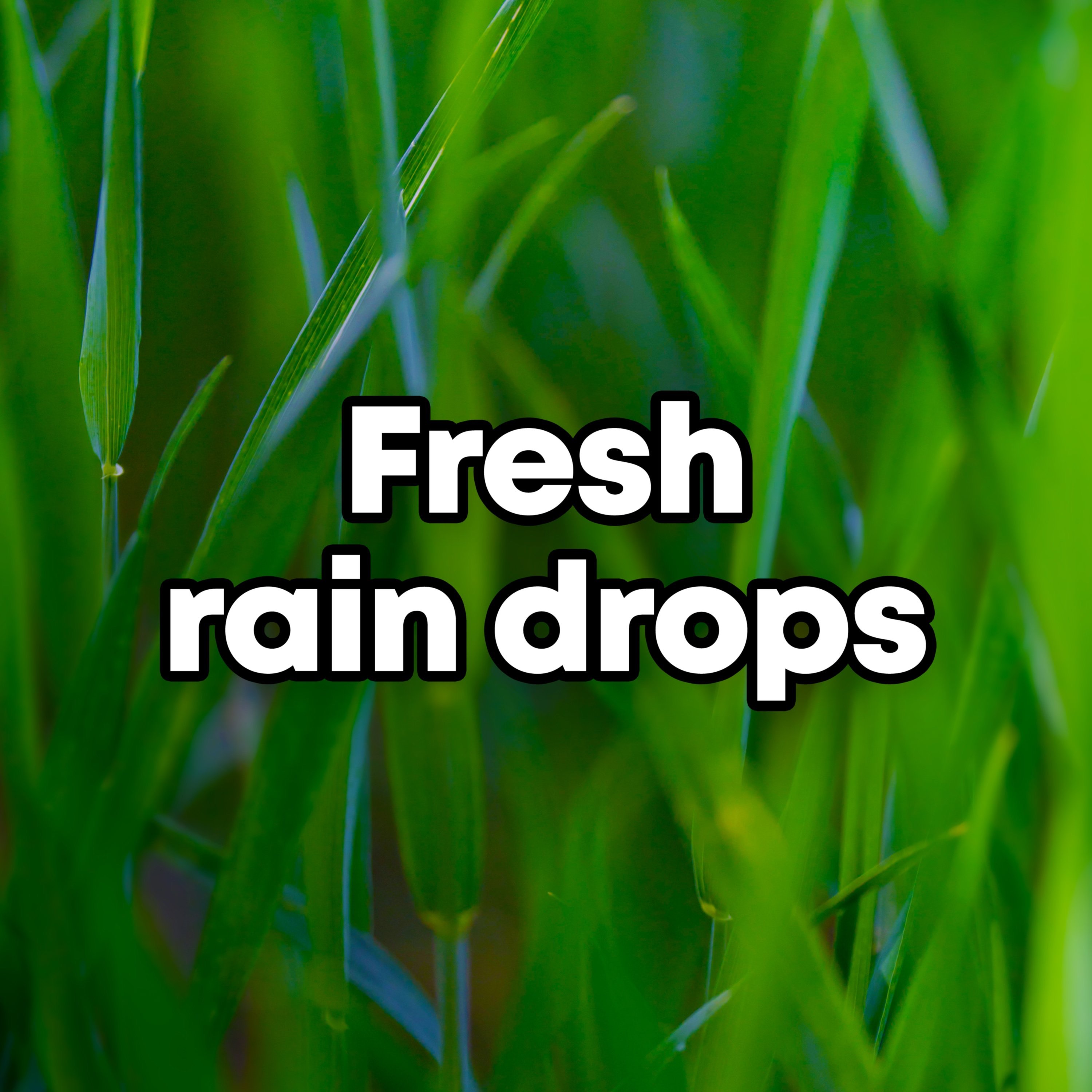 Fresh Rain Drops album cover
