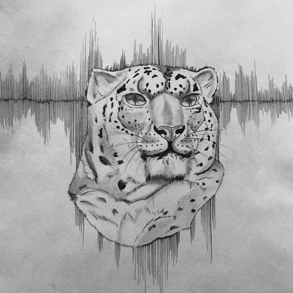 22 album cover