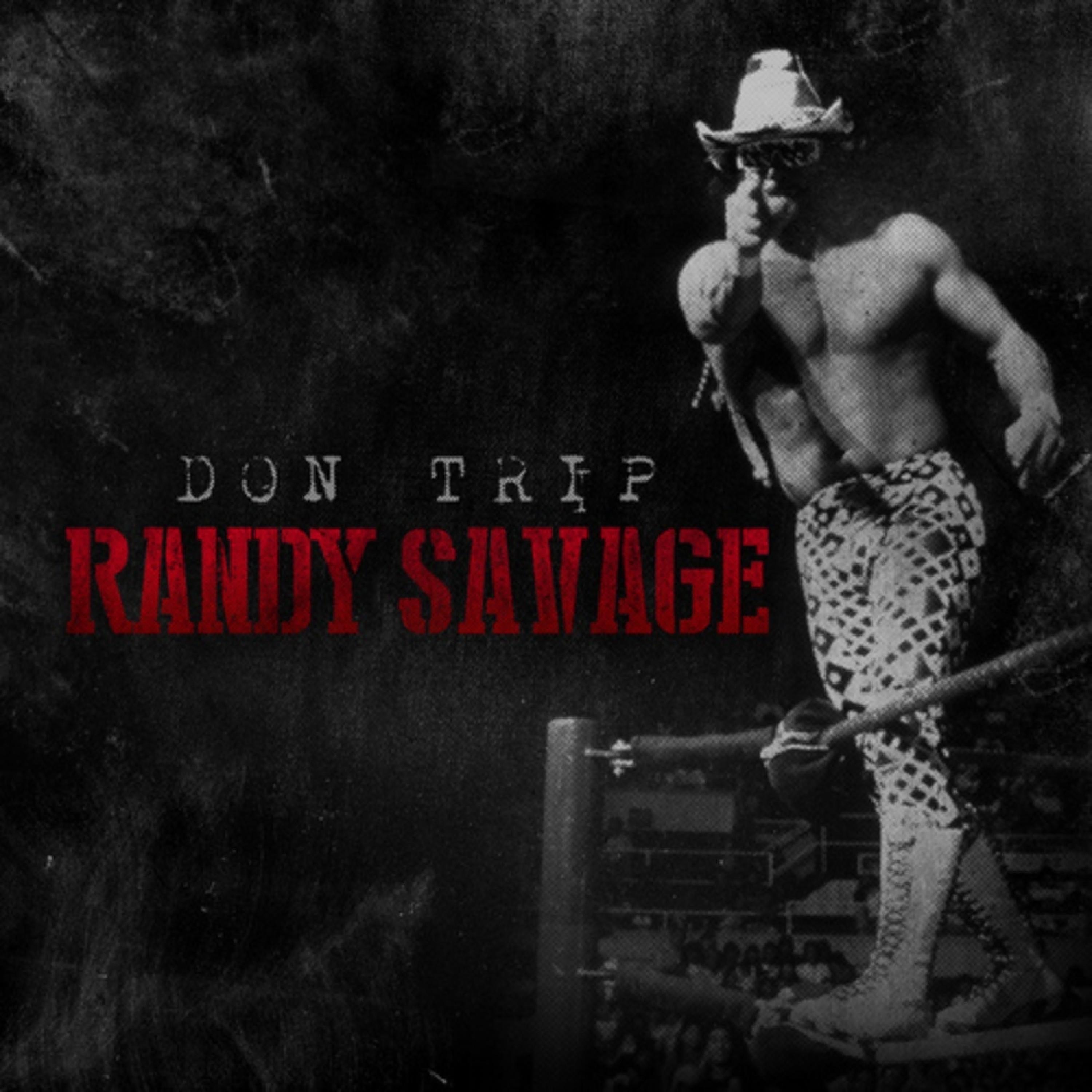 Randy Savage album cover