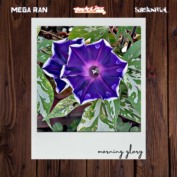Morning Glory - Single album cover