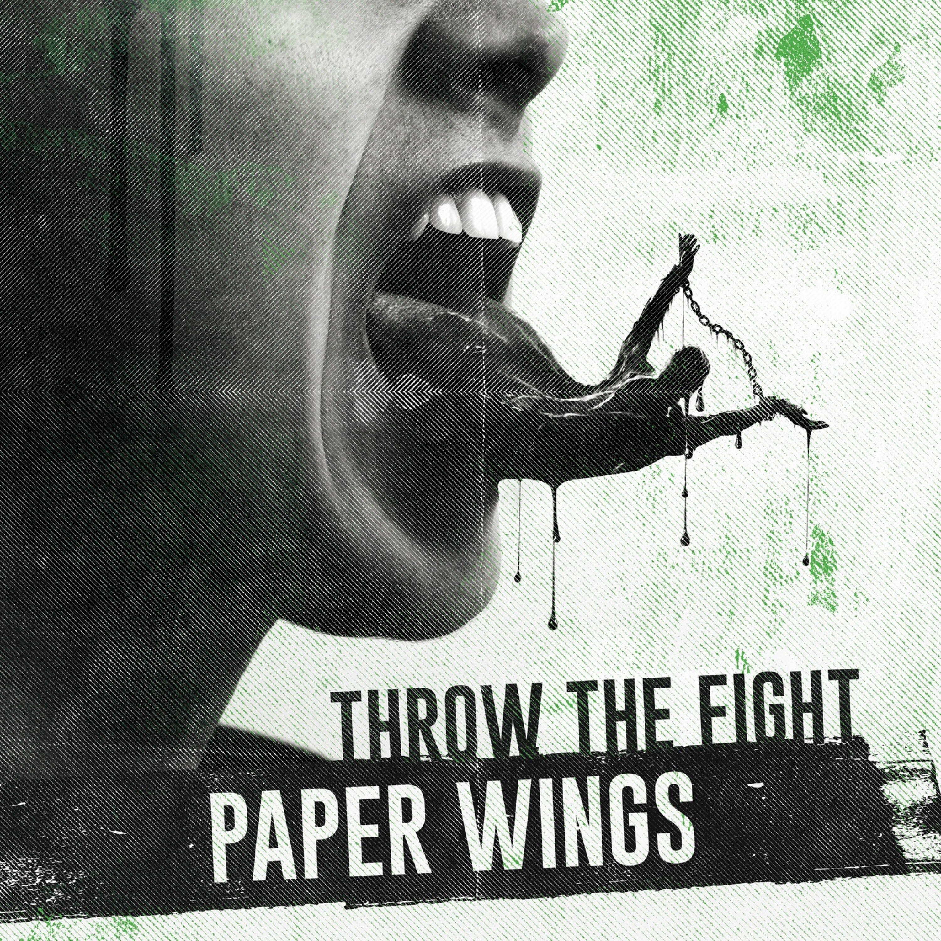 Paper Wings - Single album cover