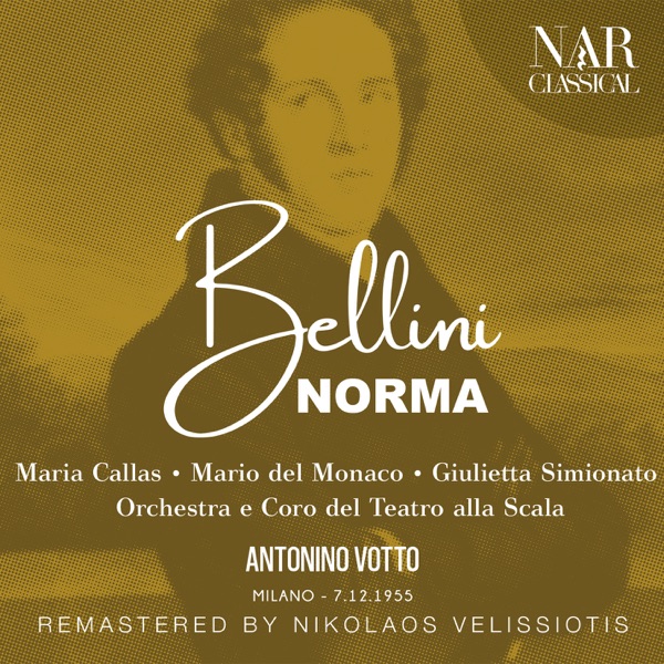 BELLINI: NORMA album cover