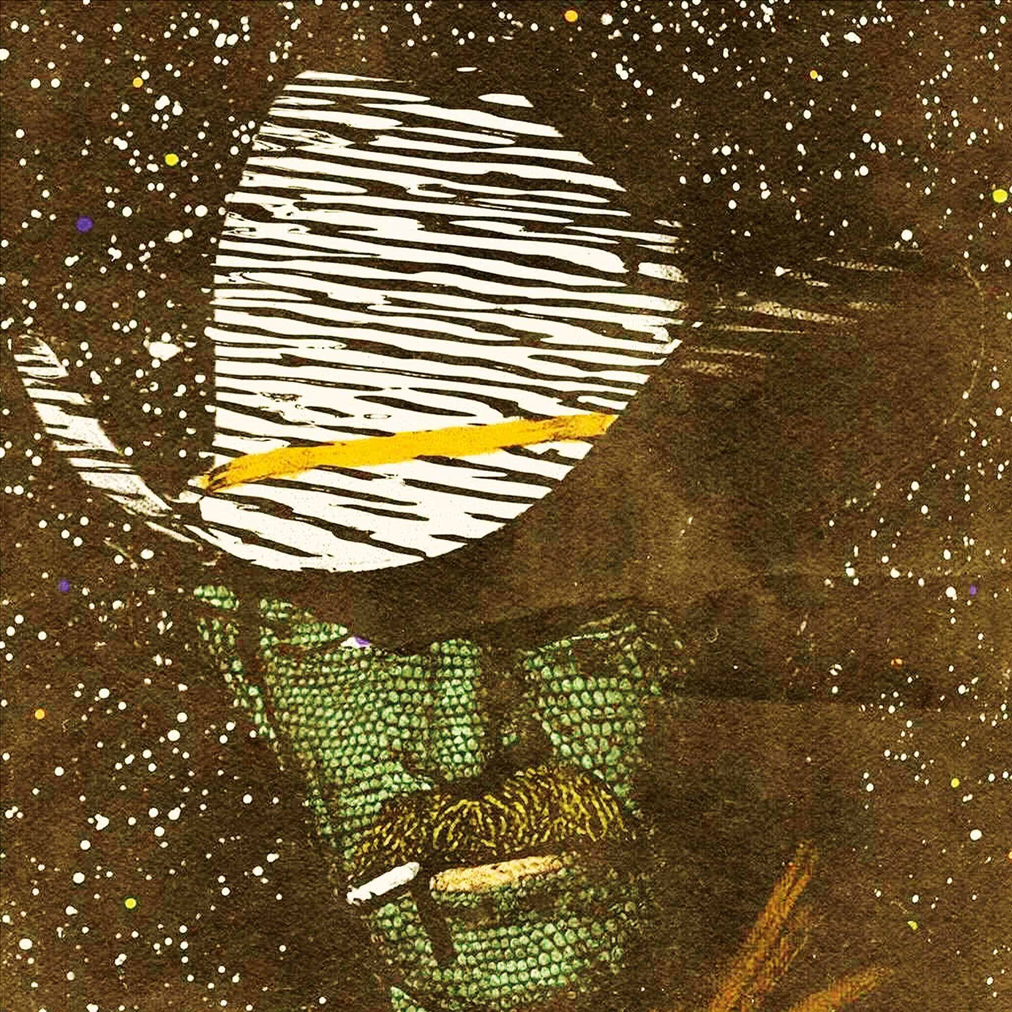 Chicken Fried Snake album cover