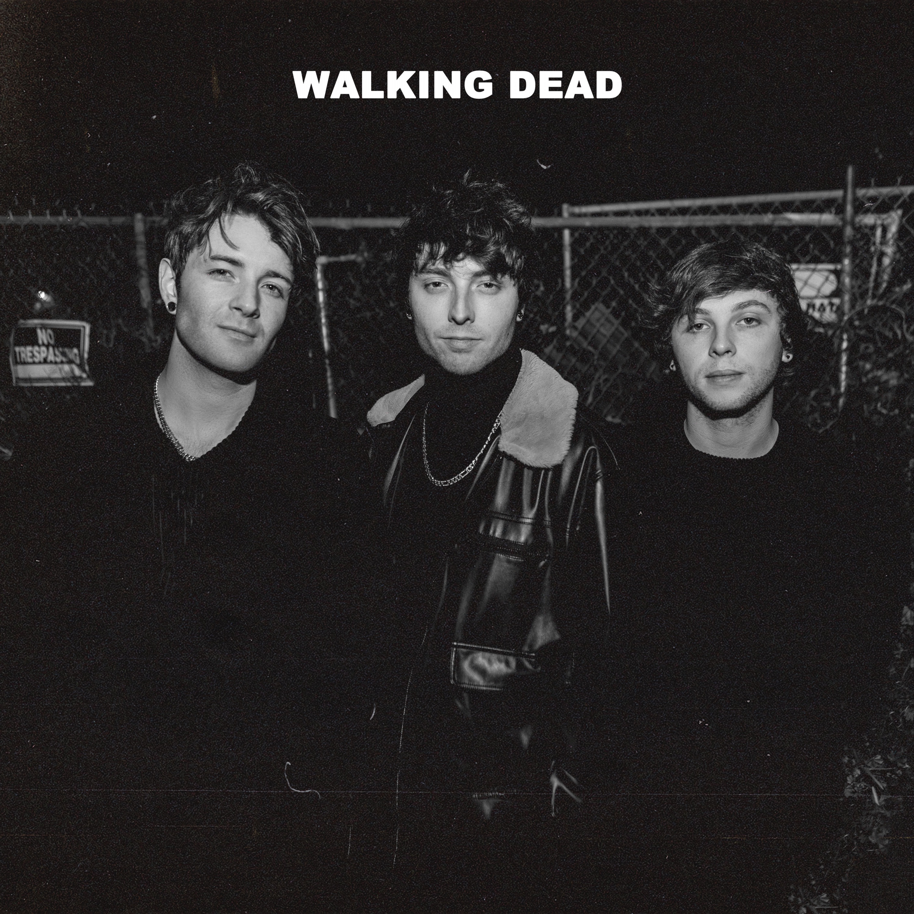 Walking Dead - Single album cover