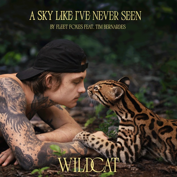 A Sky Like I've Never Seen (From the Amazon Original Movie "Wildcat") [feat. Tim Bernardes] - Single album cover
