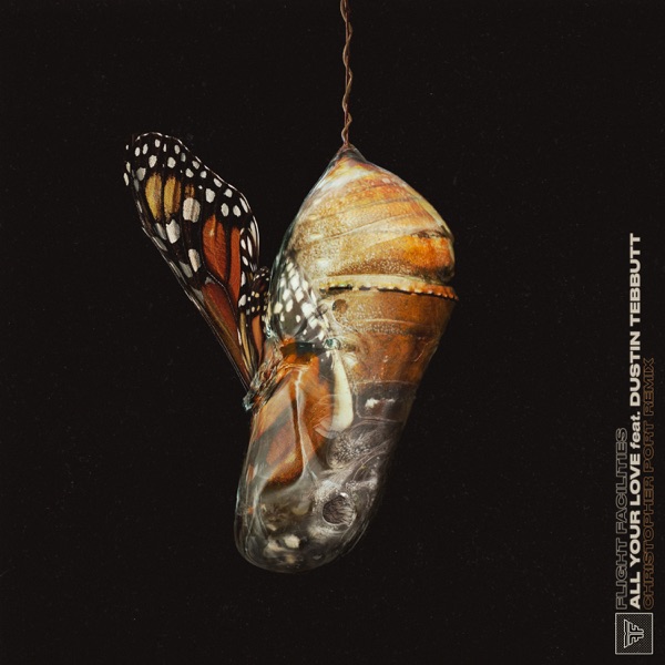 All Your Love (Christopher Port Remix) [feat. Dustin Tebbutt] - Single album cover