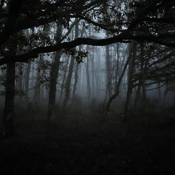Salt Point (Rith Banney Rework) - Single album cover
