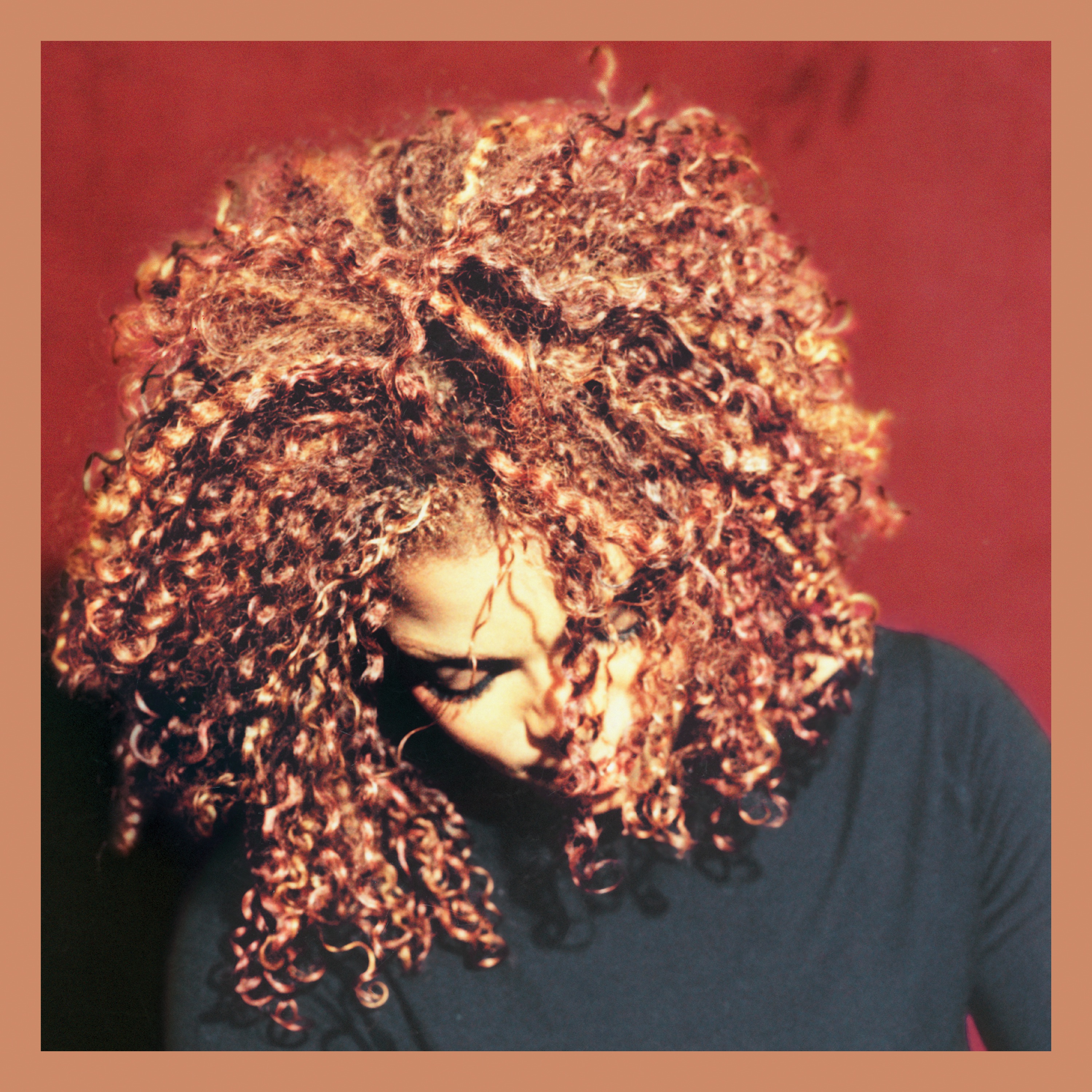 The Velvet Rope (Deluxe Edition) album cover