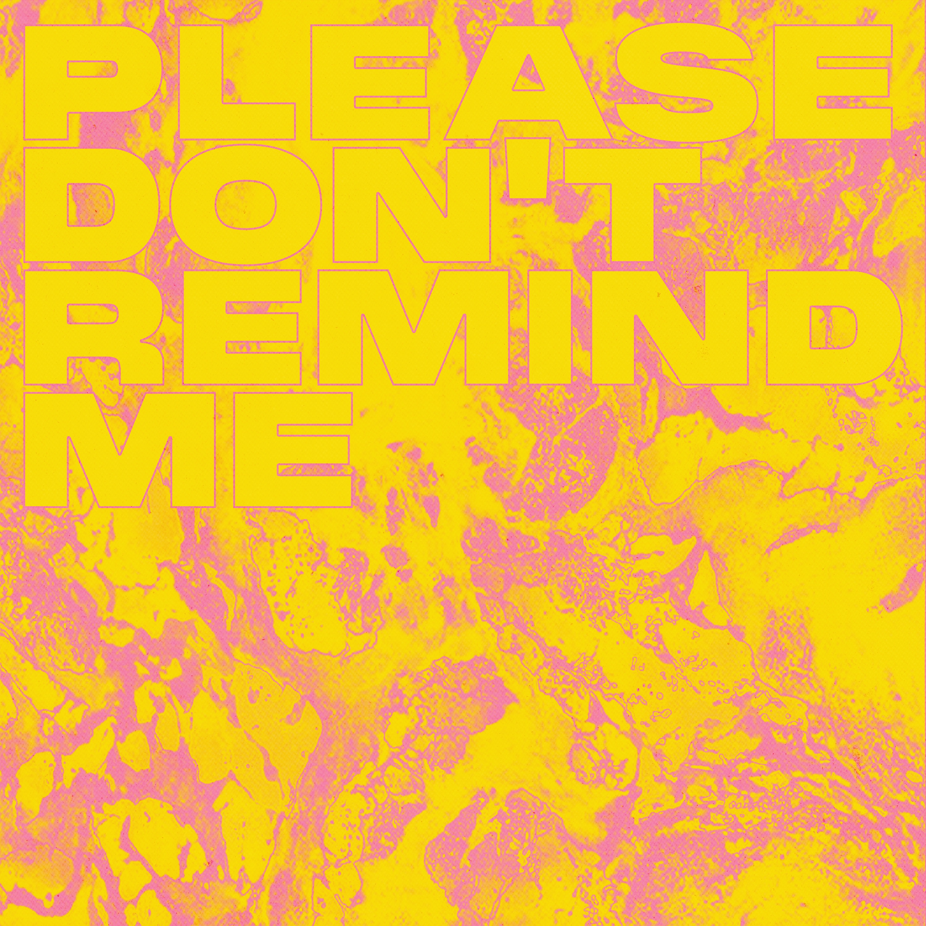 PLEASE DON'T REMIND ME (feat. Rodney Chrome) - Single album cover