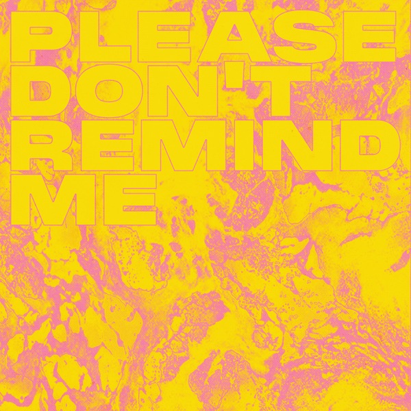 PLEASE DON'T REMIND ME (feat. Rodney Chrome) - Single album cover