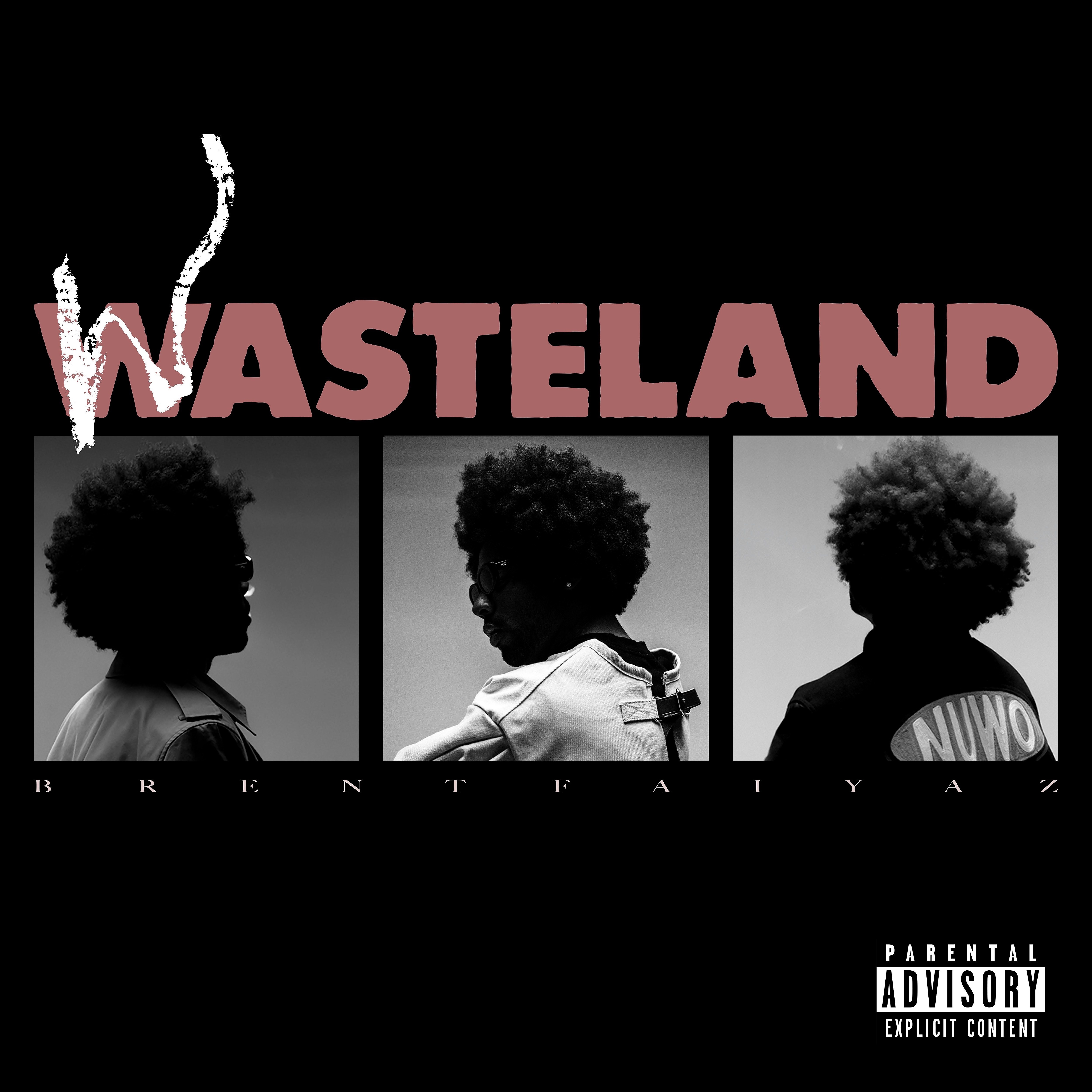 WASTELAND album cover