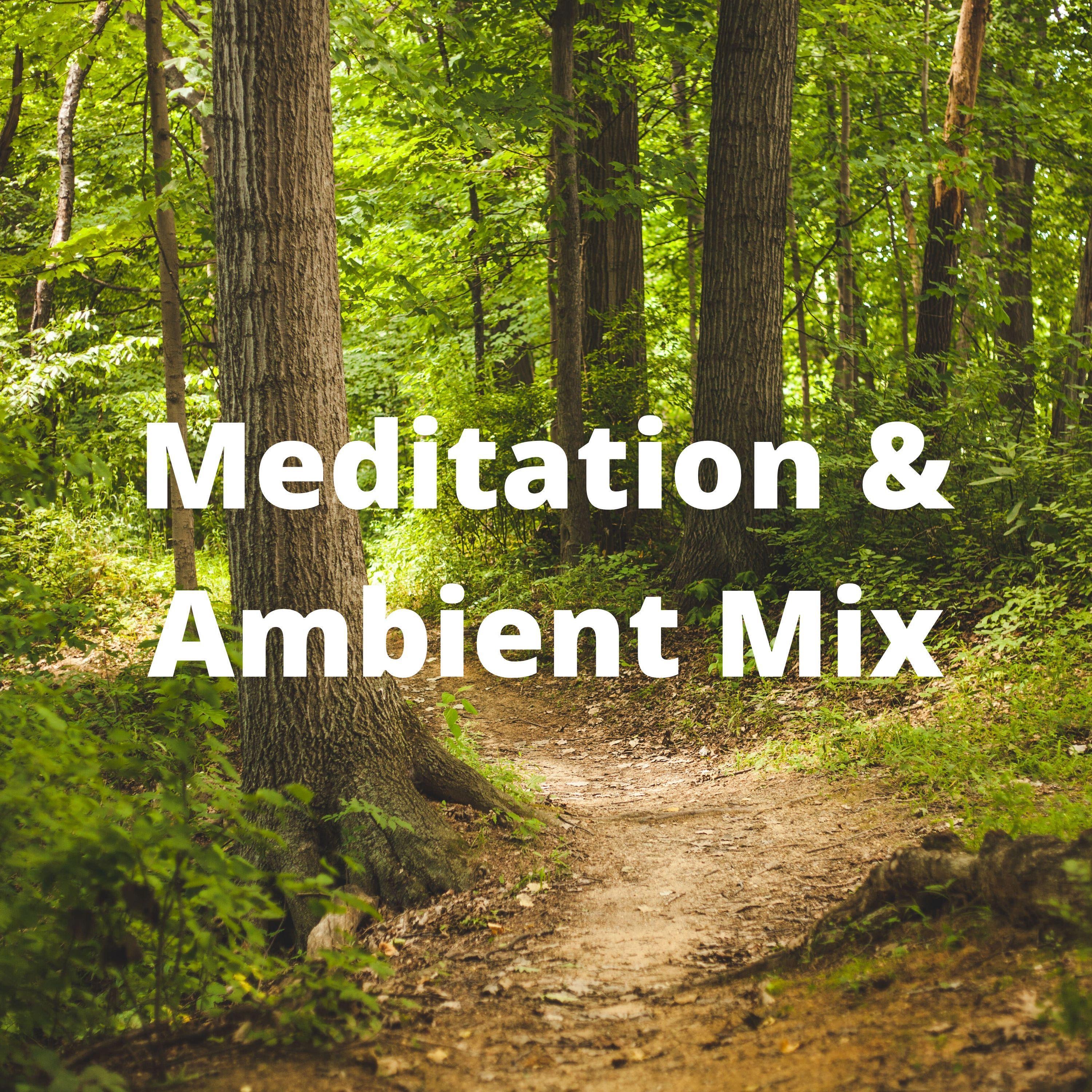 Meditation & Ambient Mix album cover