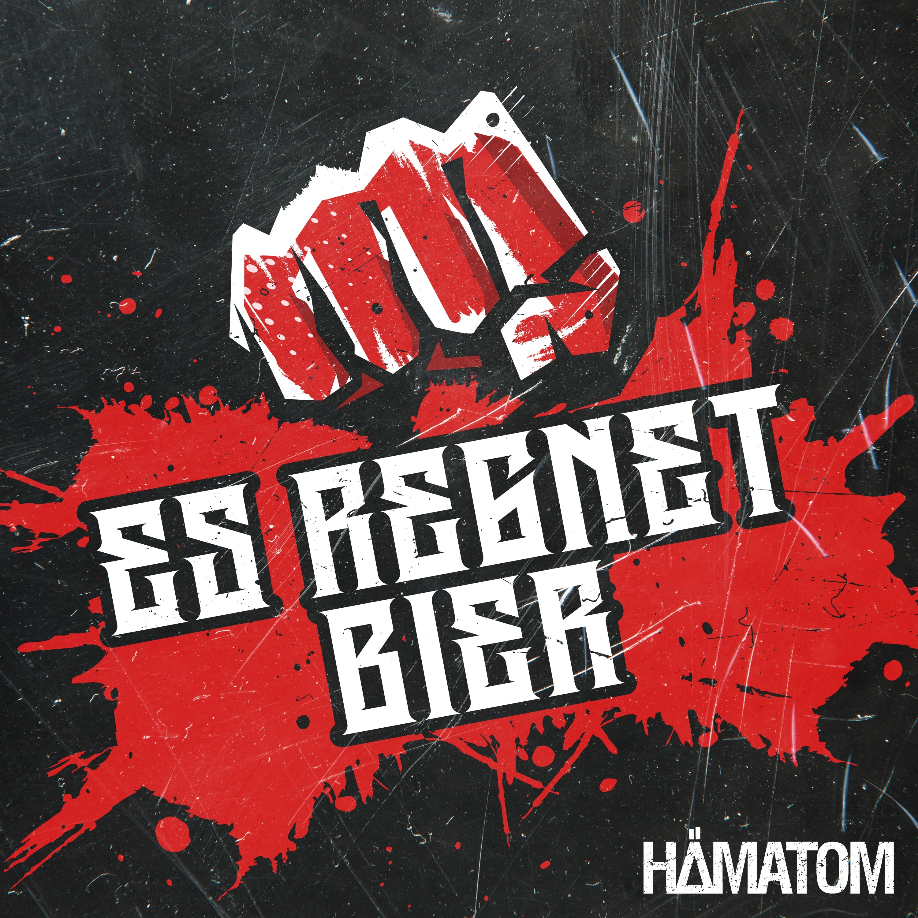 Es regnet Bier - Single album cover