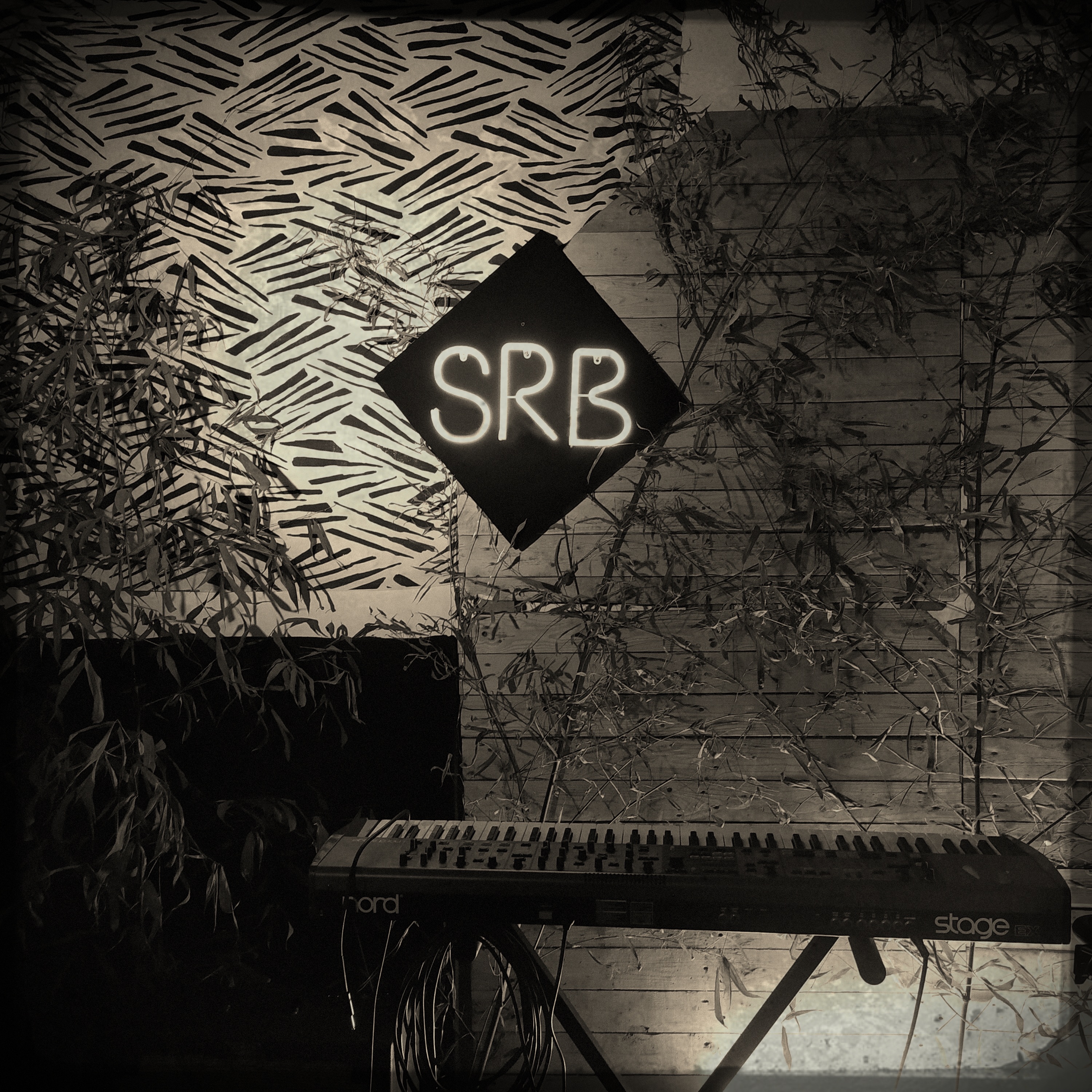 Digital steppa (feat. JFK) - Single album cover