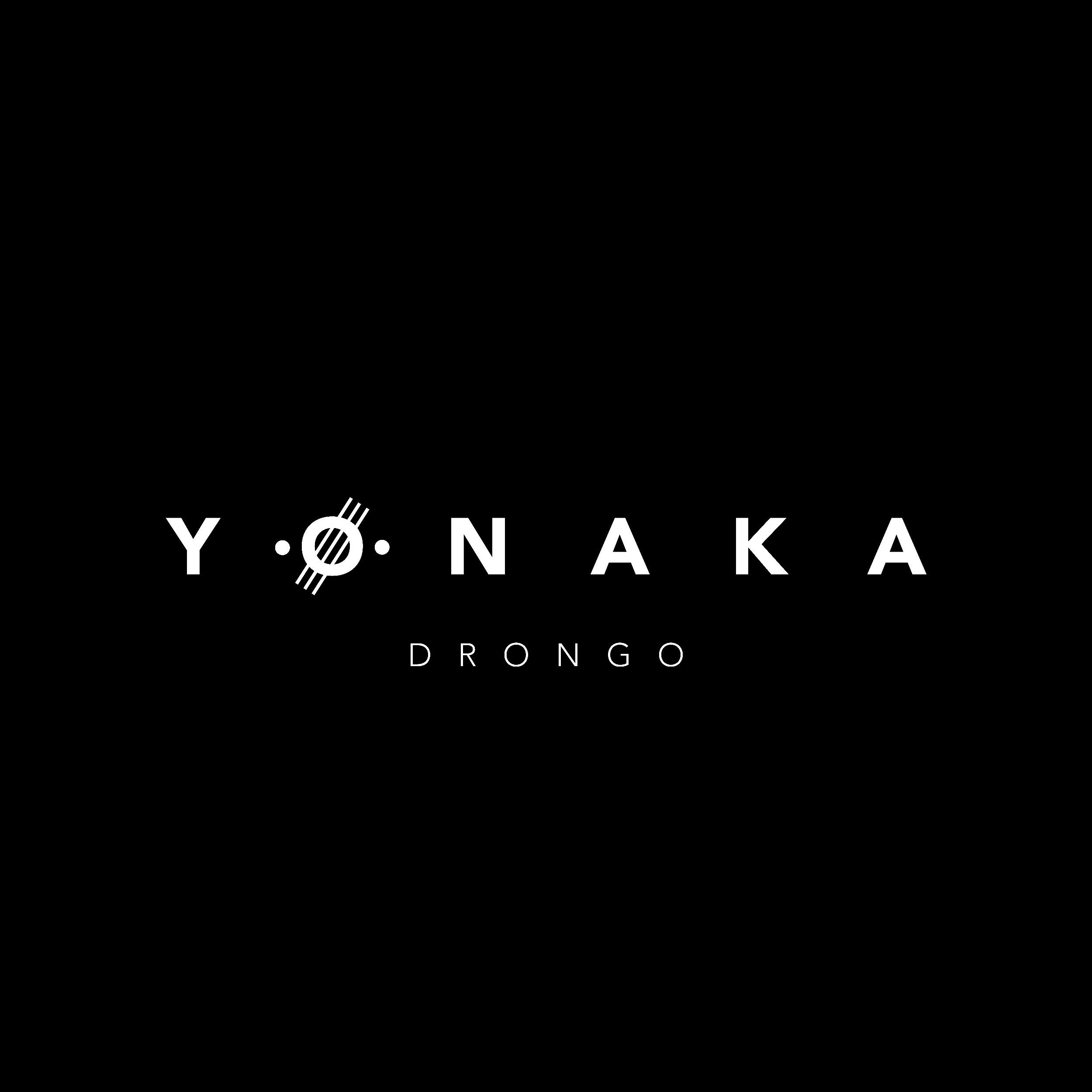 Drongo - Single album cover