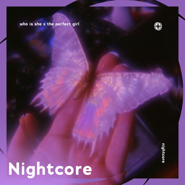 Who Is She x the Perfect Girl - Nightcore - Single album cover