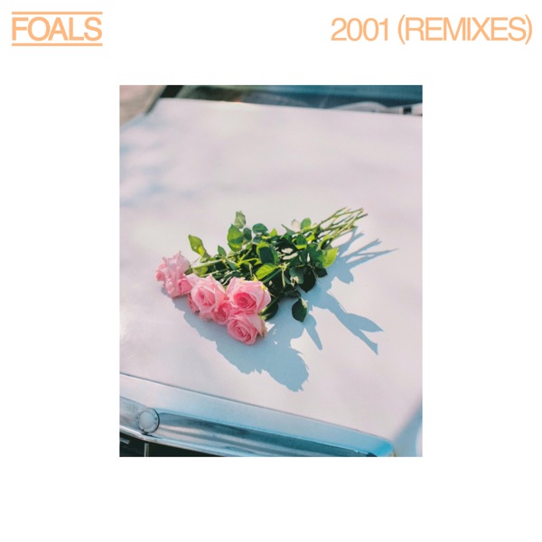 2001 (Remixes) - Single album cover