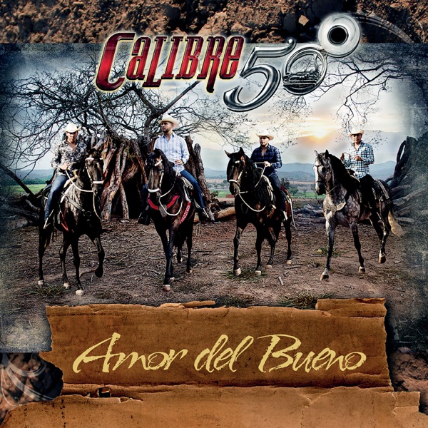 Amor del Bueno - Single album cover