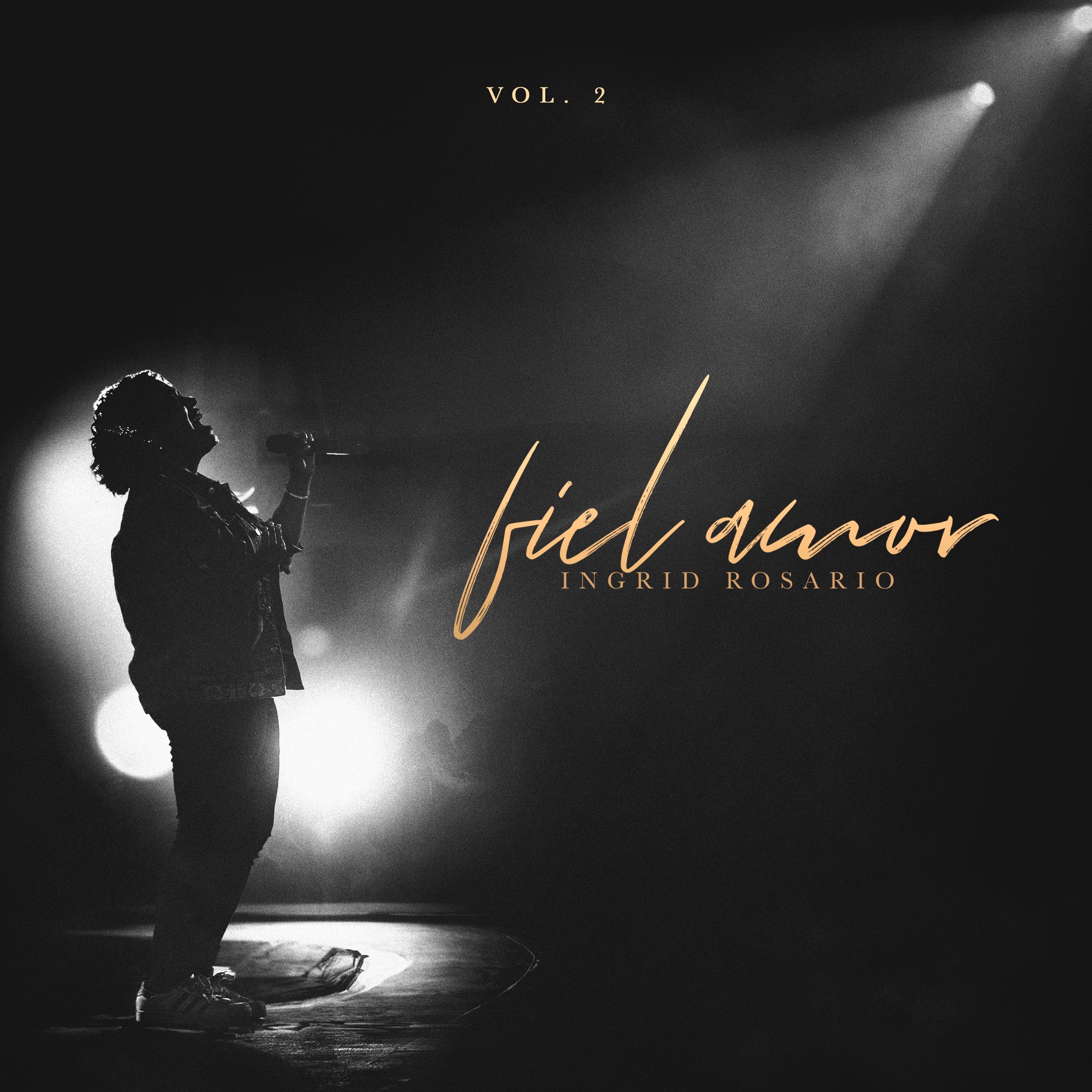 Fiel Amor, Vol. 2 album cover