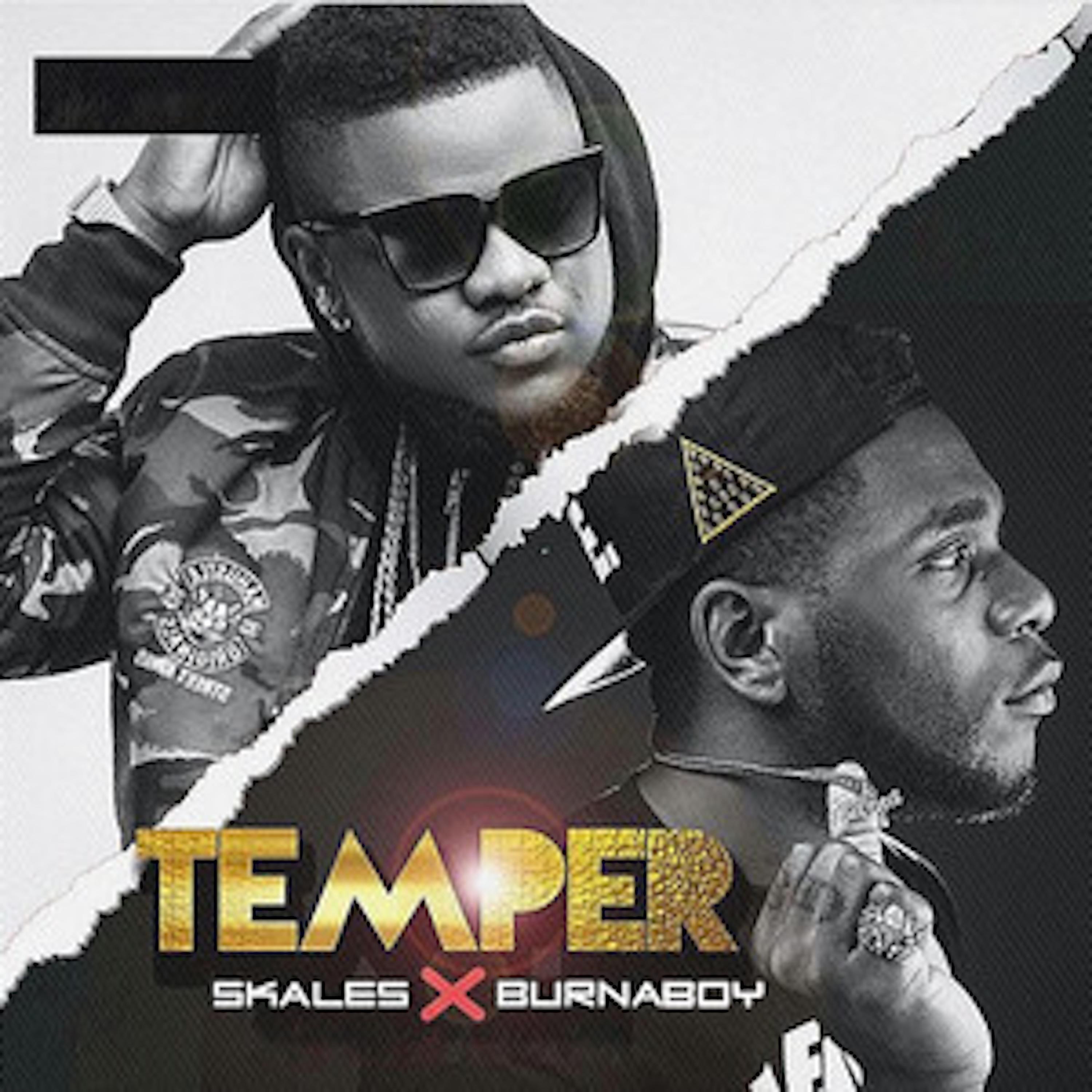 Temper (Remix) [feat. Burna Boy] - Single album cover