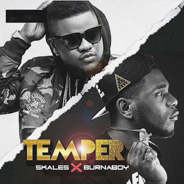 Temper (Remix) [feat. Burna Boy] - Single album cover