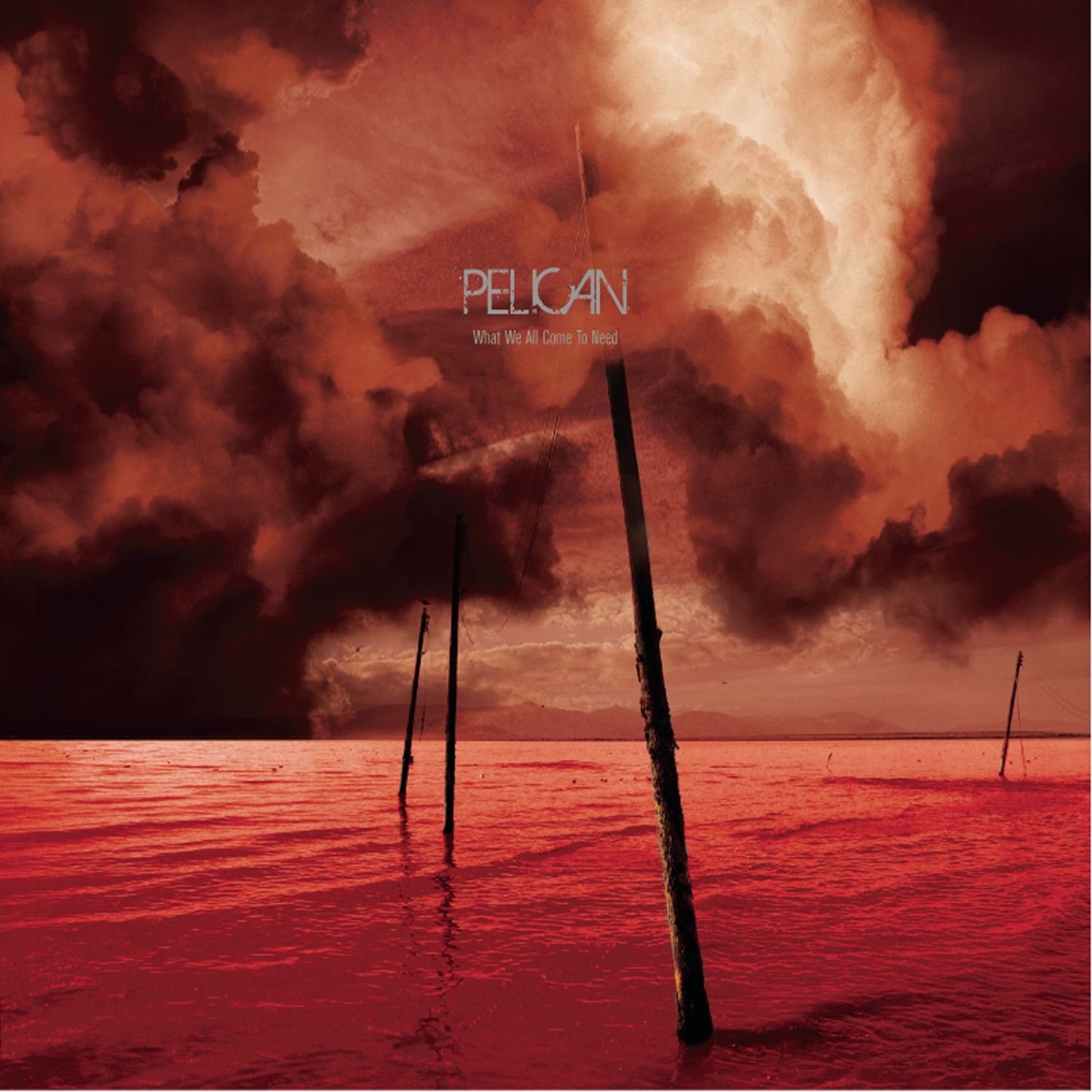What We All Come to Need album cover