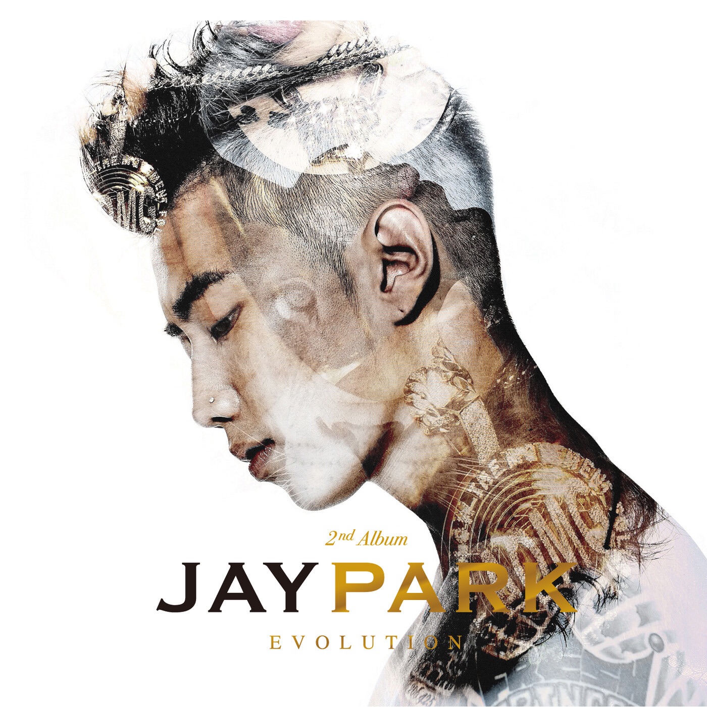 EVOLUTION album cover
