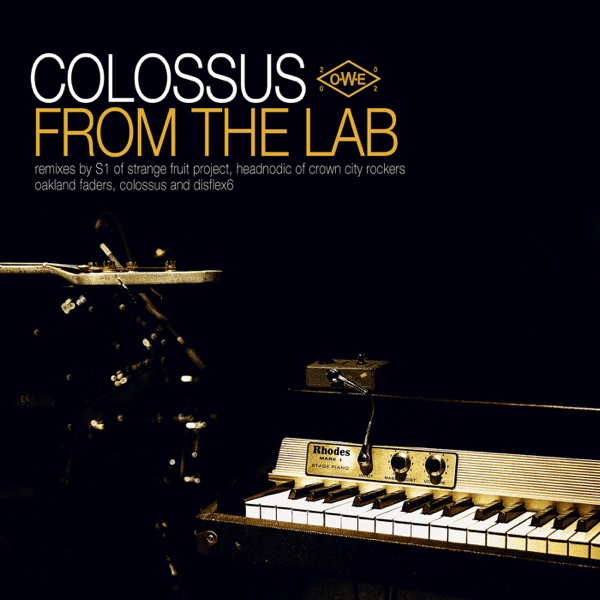 From the Lab album cover