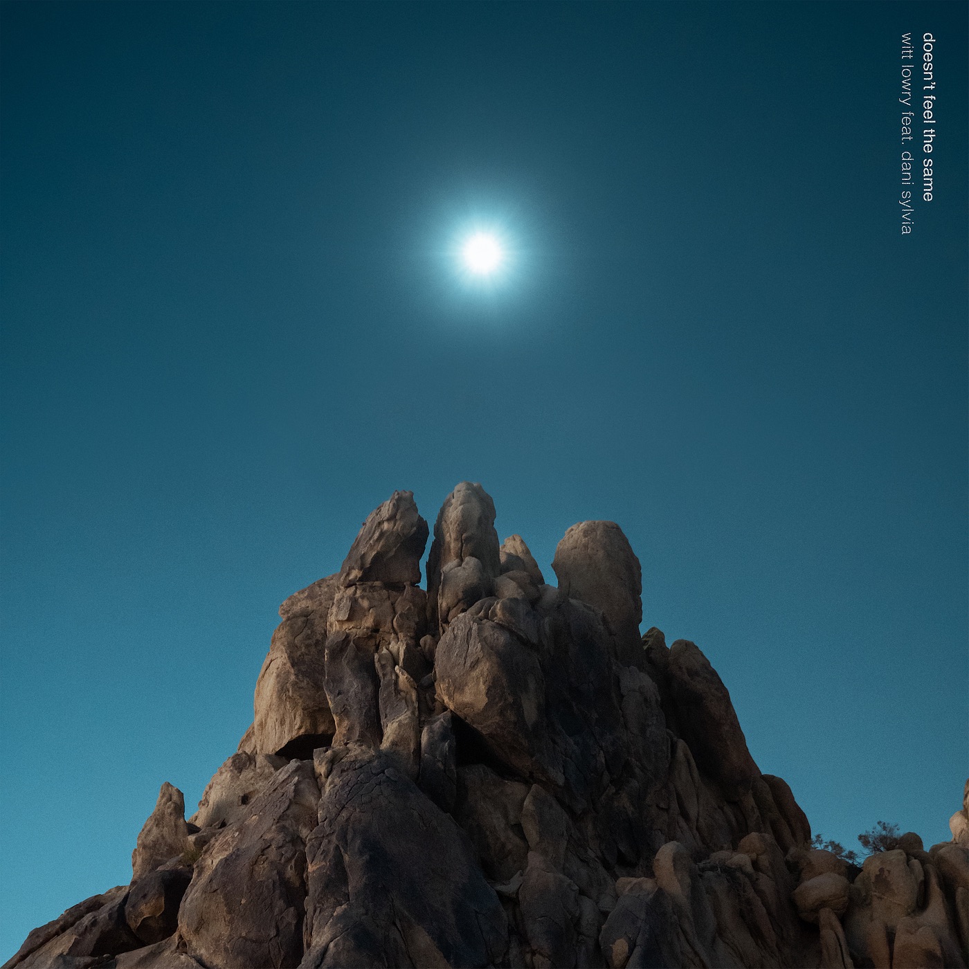 Doesn't Feel the Same (feat. Dani Sylvia) - Single album cover