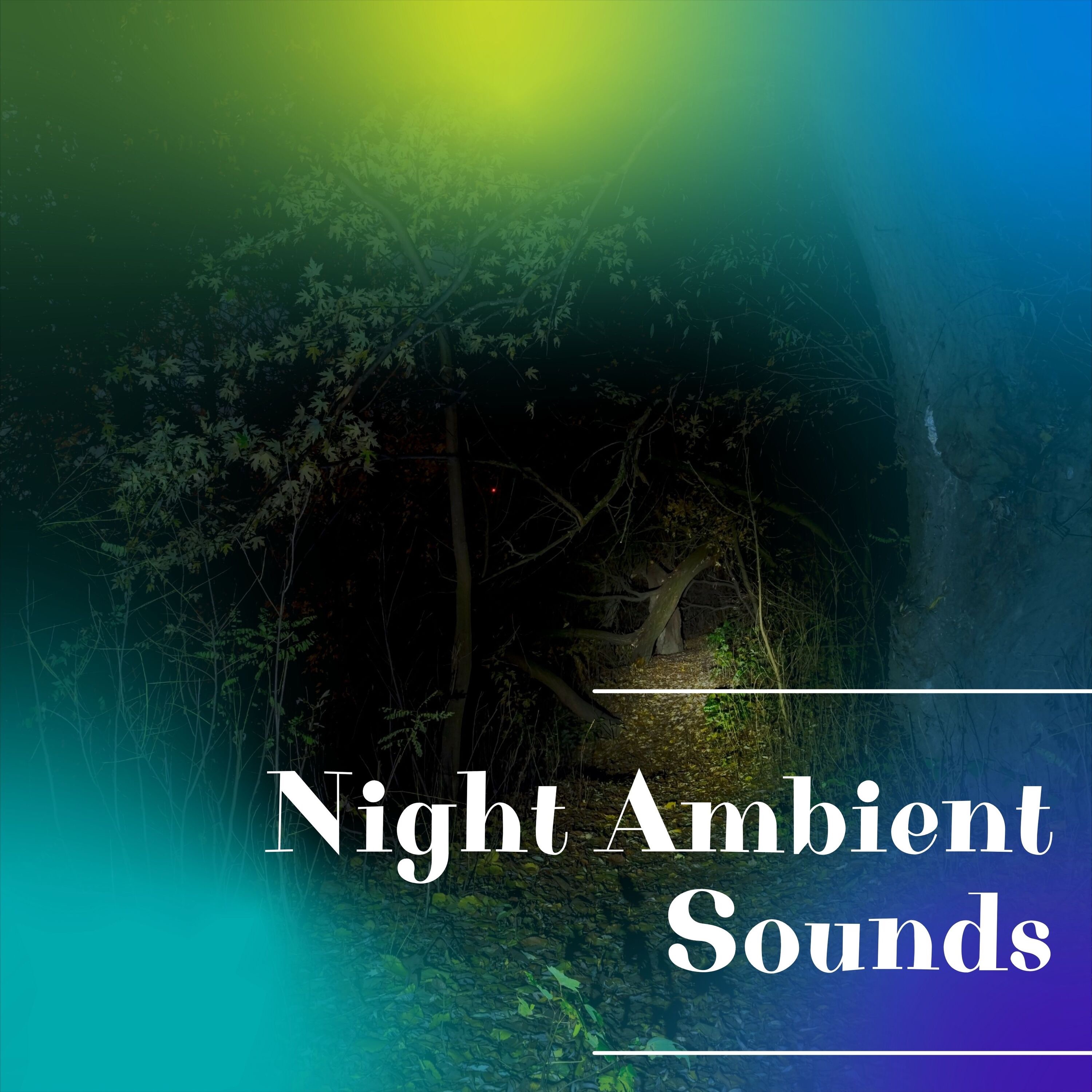Night Ambient Sounds album cover