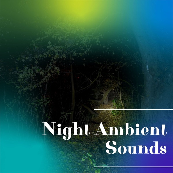 Night Ambient Sounds album cover