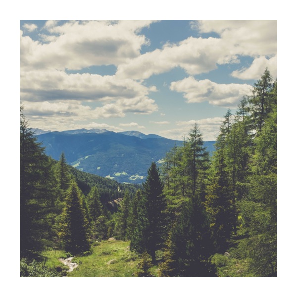 Natural Relaxation Music for Study album cover