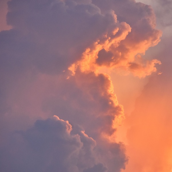 Home Lights - Single album cover