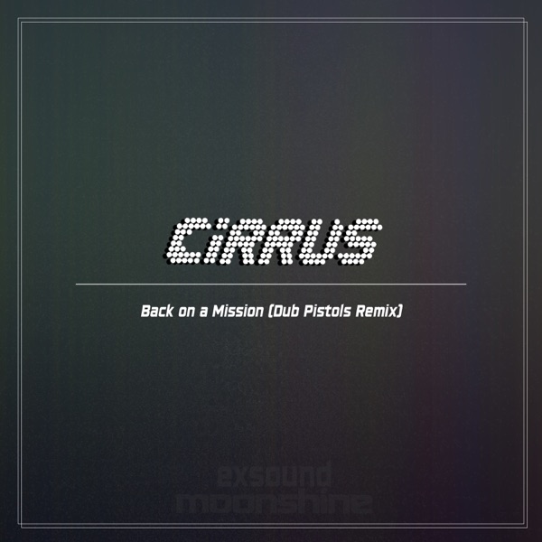 Back on a Mission (Dub Pistols Remix) [Dub Pistols Remix] - Single album cover