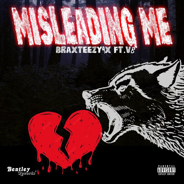 Misleading Me (feat. V8) - Single album cover