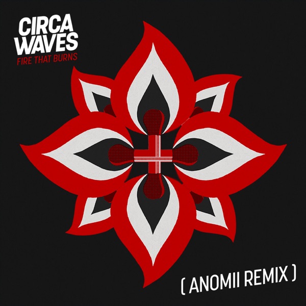 Fire That Burns (Anomii Remix) - Single album cover