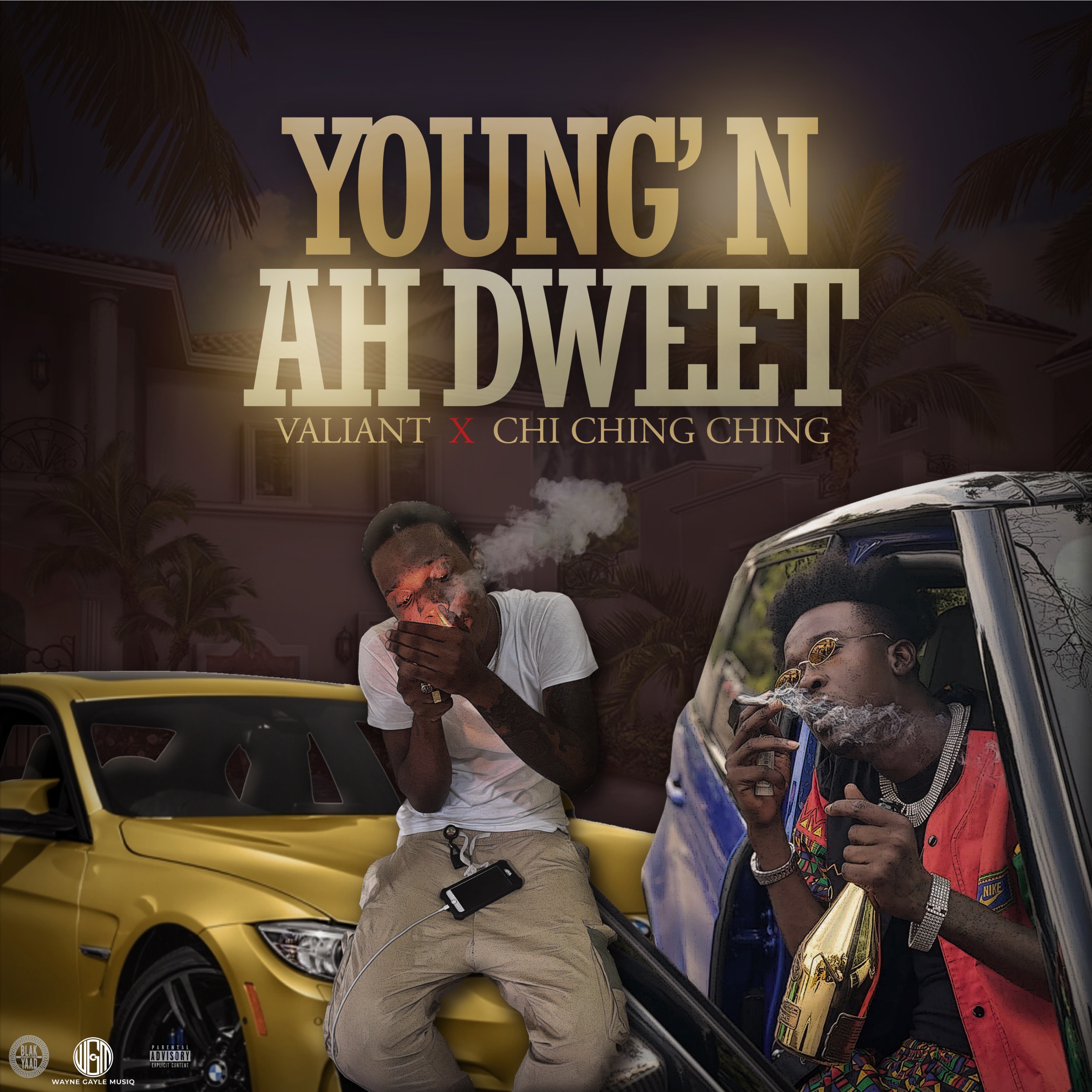 Young n' Ah Dweet - Single album cover