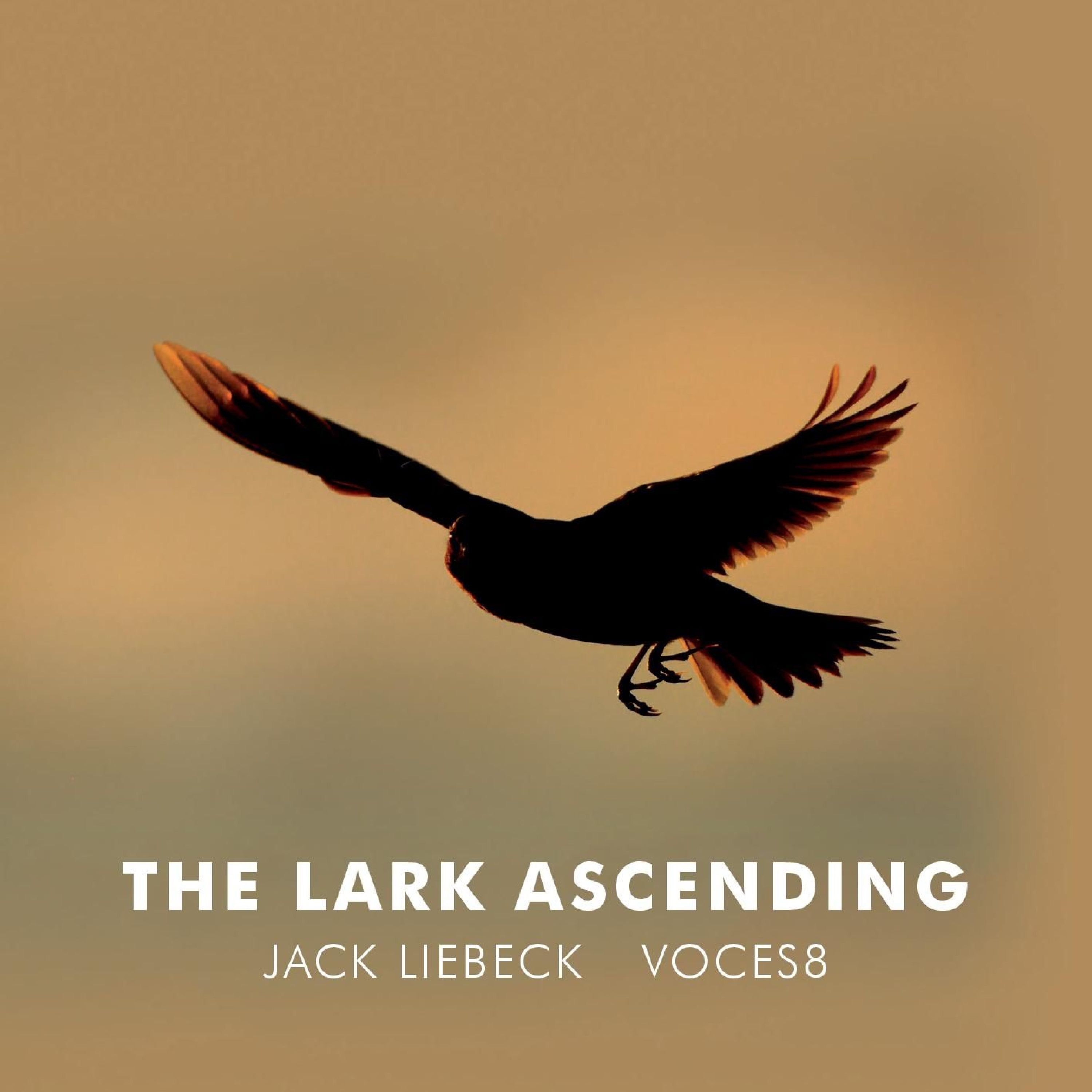 The Lark Ascending (Arr. for violin and choir by Paul Drayton) - EP album cover